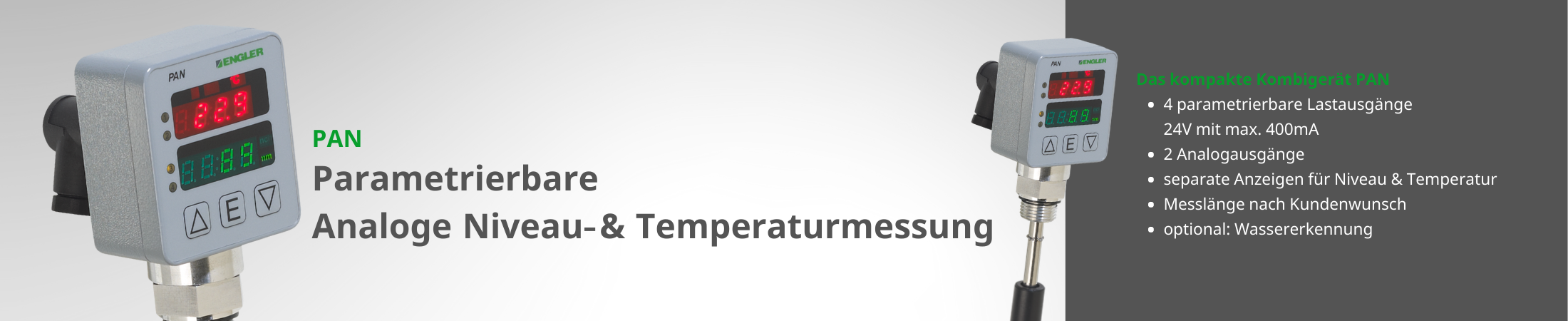 Engler Parametrierbare Analoge Niveau- und Temperaturmessung